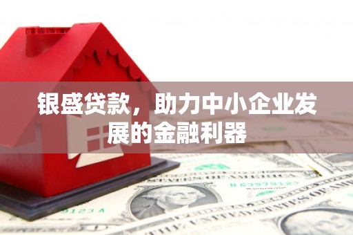 大冶银盛贷款，助力中小企业发展的金融利器