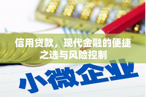 大冶信用贷款，现代金融的便捷之选与风险控制