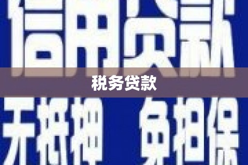 大冶税务贷款