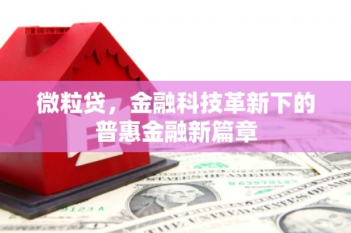 大冶微粒贷，金融科技革新下的普惠金融新篇章