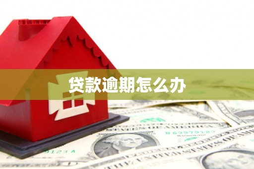 大冶贷款逾期怎么办
