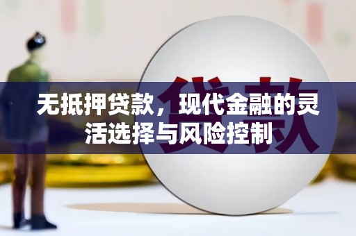 大冶无抵押贷款，现代金融的灵活选择与风险控制