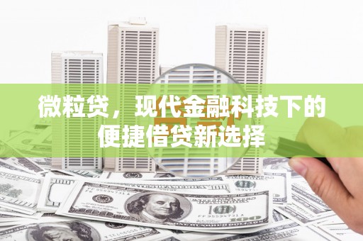大冶微粒贷，现代金融科技下的便捷借贷新选择
