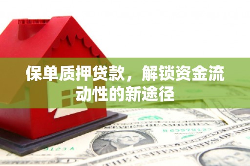 大冶保单质押贷款，解锁资金流动性的新途径