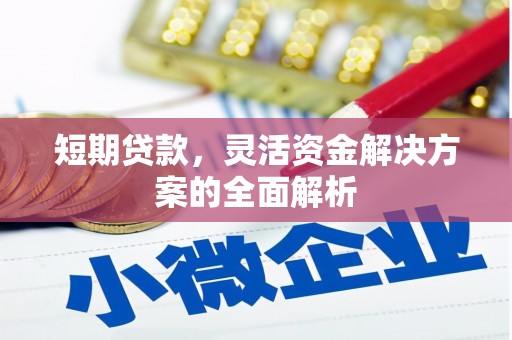 大冶短期贷款，灵活资金解决方案的全面解析
