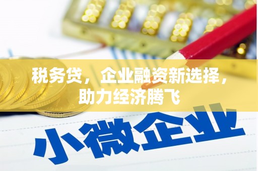 大冶税务贷，企业融资新选择，助力经济腾飞