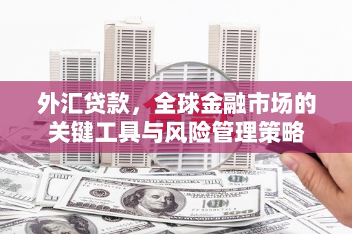 大冶外汇贷款，全球金融市场的关键工具与风险管理策略