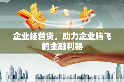 大冶企业经营贷，助力企业腾飞的金融利器