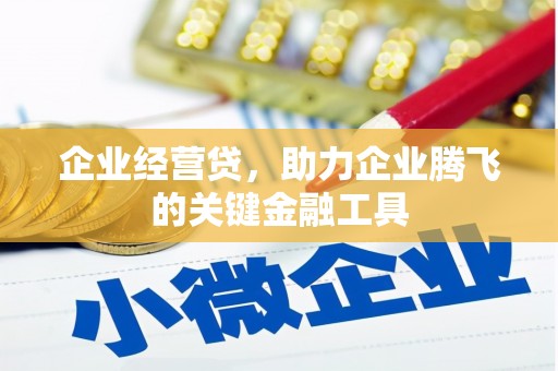 大冶企业经营贷，助力企业腾飞的关键金融工具