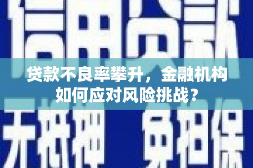 大冶贷款不良率攀升，金融机构如何应对风险挑战？