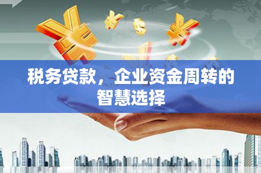 大冶税务贷款，企业资金周转的智慧选择