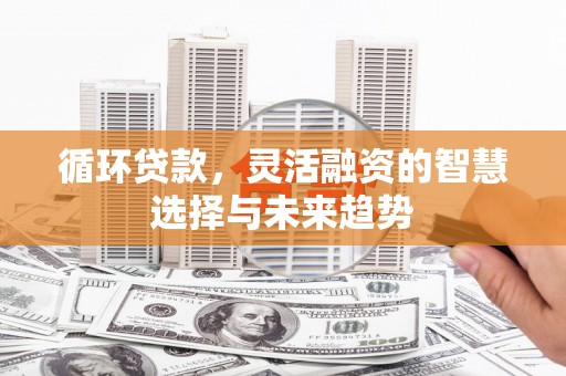大冶循环贷款，灵活融资的智慧选择与未来趋势