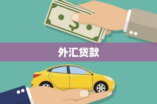 大冶外汇贷款