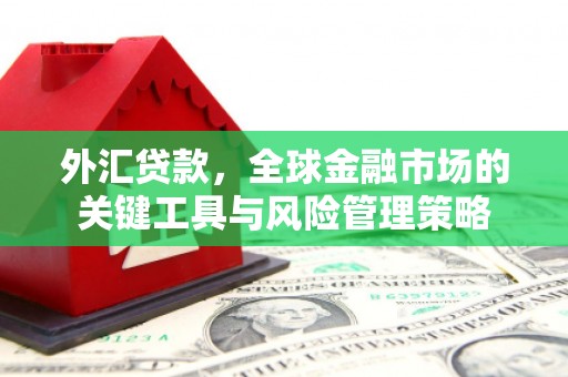 大冶外汇贷款，全球金融市场的关键工具与风险管理策略