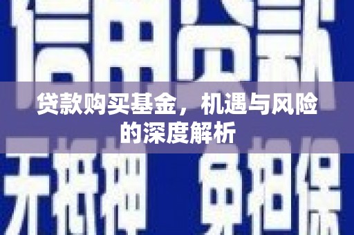 大冶贷款购买基金，机遇与风险的深度解析
