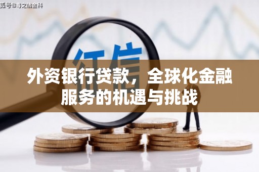 大冶外资银行贷款，全球化金融服务的机遇与挑战