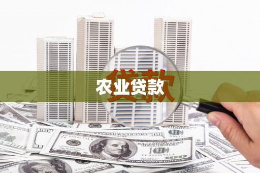 大冶农业贷款