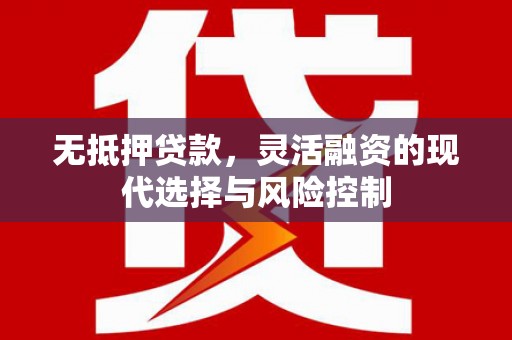 大冶无抵押贷款，灵活融资的现代选择与风险控制