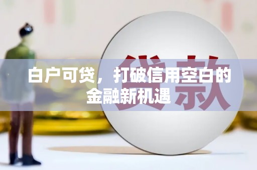 大冶白户可贷，打破信用空白的金融新机遇