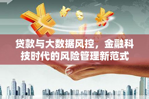 大冶贷款与大数据风控，金融科技时代的风险管理新范式