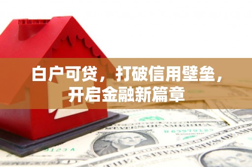 大冶白户可贷，打破信用壁垒，开启金融新篇章