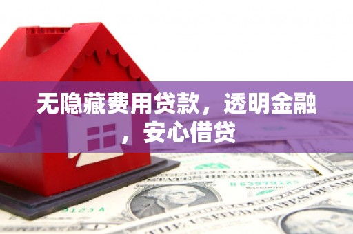 大冶无隐藏费用贷款，透明金融，安心借贷