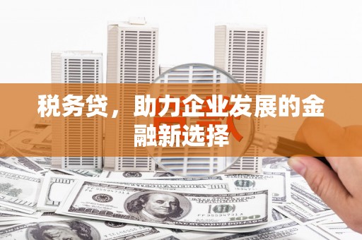 大冶税务贷，助力企业发展的金融新选择