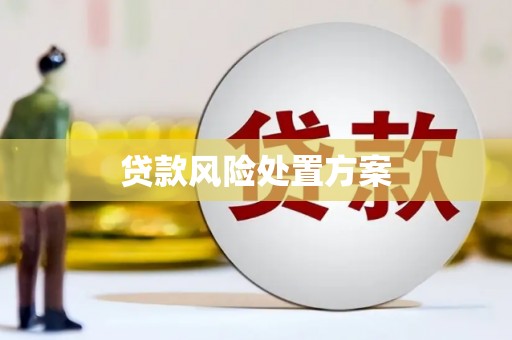 大冶贷款风险处置方案