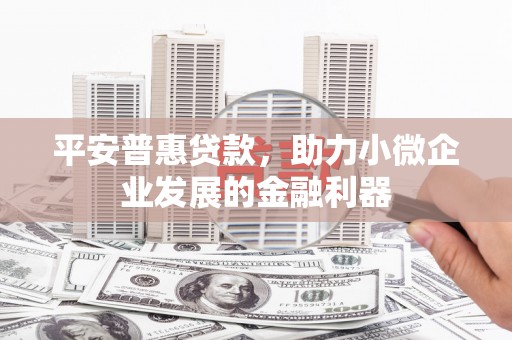大冶平安普惠贷款，助力小微企业发展的金融利器
