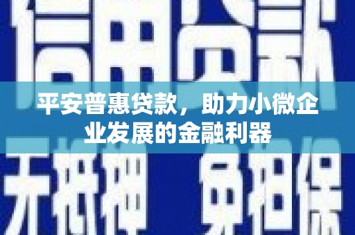 大冶平安普惠贷款，助力小微企业发展的金融利器