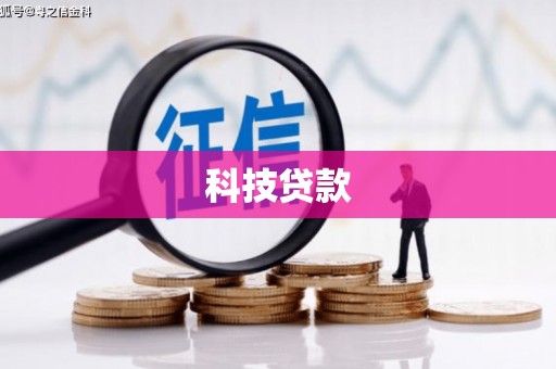 大冶科技贷款