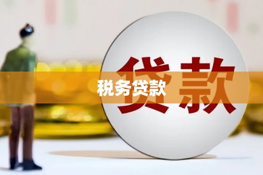 大冶税务贷款
