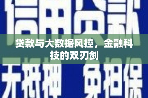 大冶贷款与大数据风控，金融科技的双刃剑