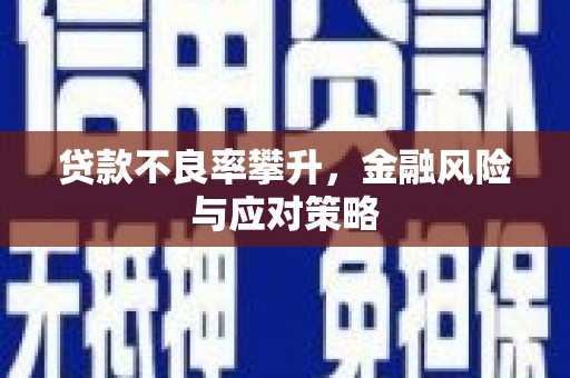 大冶贷款不良率攀升，金融风险与应对策略
