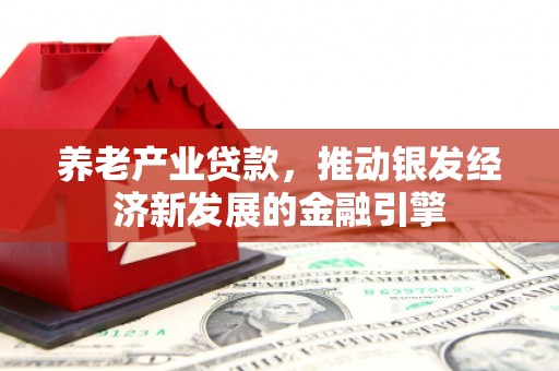 大冶养老产业贷款，推动银发经济新发展的金融引擎