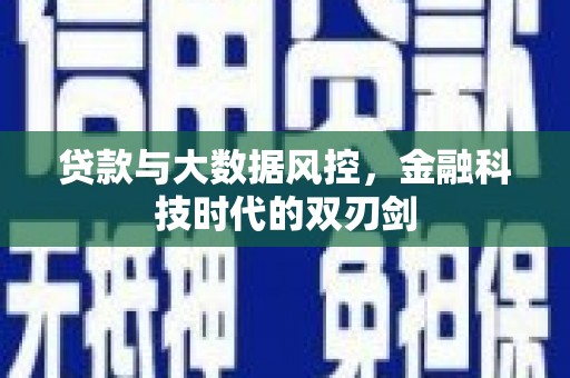 大冶贷款与大数据风控，金融科技时代的双刃剑