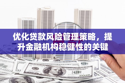 大冶优化贷款风险管理策略，提升金融机构稳健性的关键