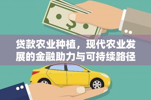 大冶贷款农业种植，现代农业发展的金融助力与可持续路径