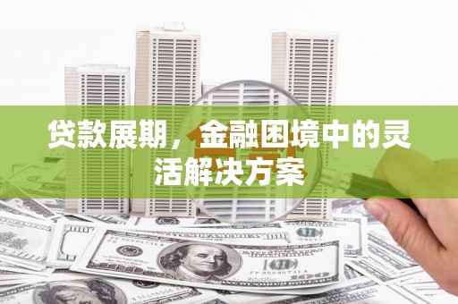 大冶贷款展期，金融困境中的灵活解决方案