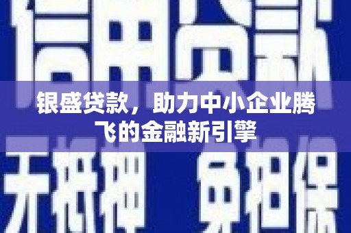 大冶银盛贷款，助力中小企业腾飞的金融新引擎