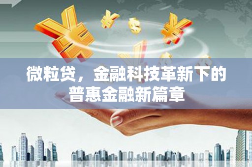 大冶微粒贷，金融科技革新下的普惠金融新篇章