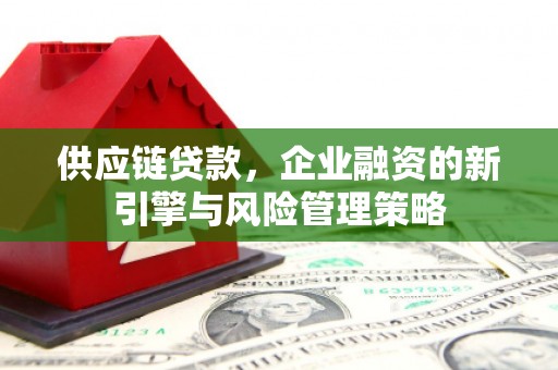 大冶供应链贷款，企业融资的新引擎与风险管理策略