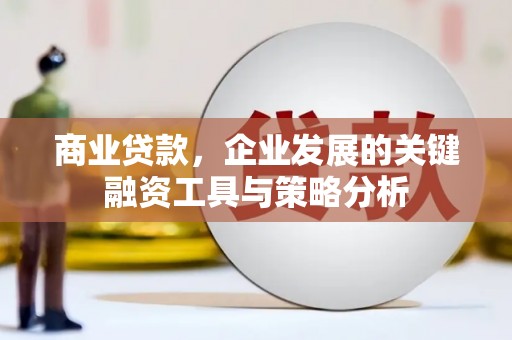 大冶商业贷款，企业发展的关键融资工具与策略分析