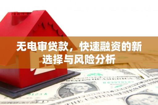 大冶无电审贷款，快速融资的新选择与风险分析