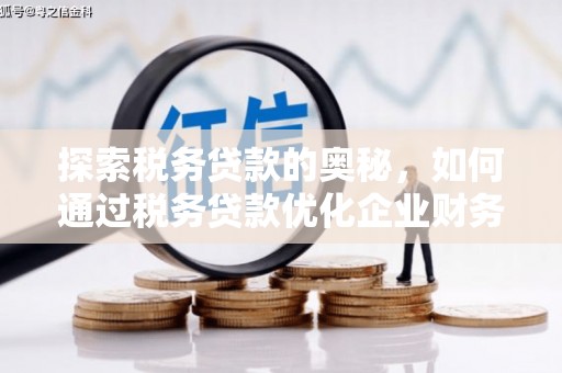 大冶探索税务贷款的奥秘，如何通过税务贷款优化企业财务