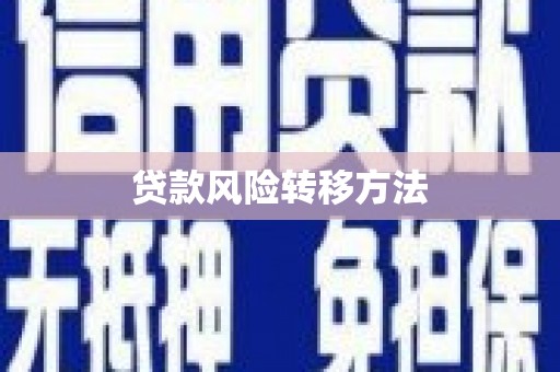 大冶贷款风险转移方法
