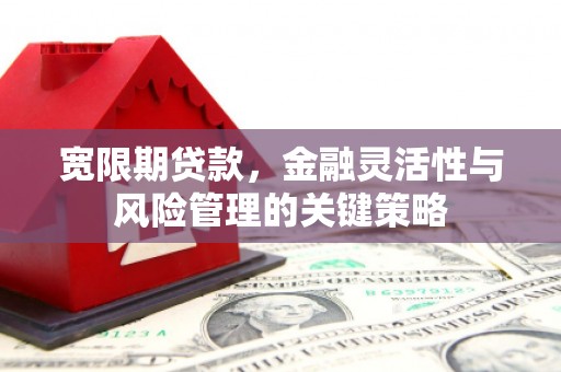 大冶宽限期贷款，金融灵活性与风险管理的关键策略