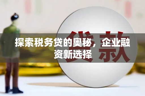 大冶探索税务贷的奥秘，企业融资新选择