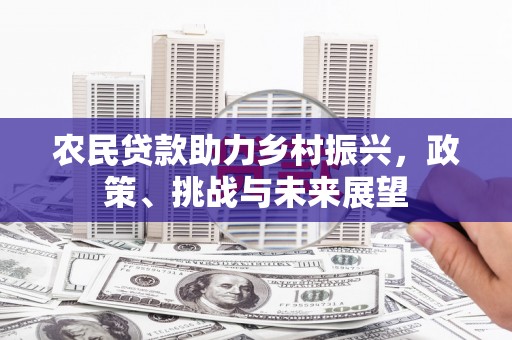 大冶农民贷款助力乡村振兴，政策、挑战与未来展望