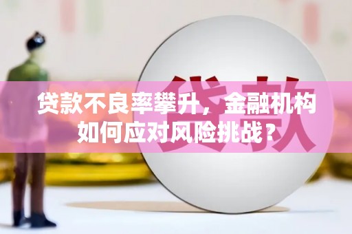 大冶贷款不良率攀升，金融机构如何应对风险挑战？